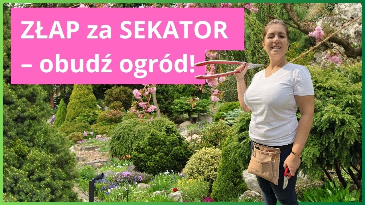 Wiosenne cięcie roślin w ogrodzie - wskazówki  i zasady