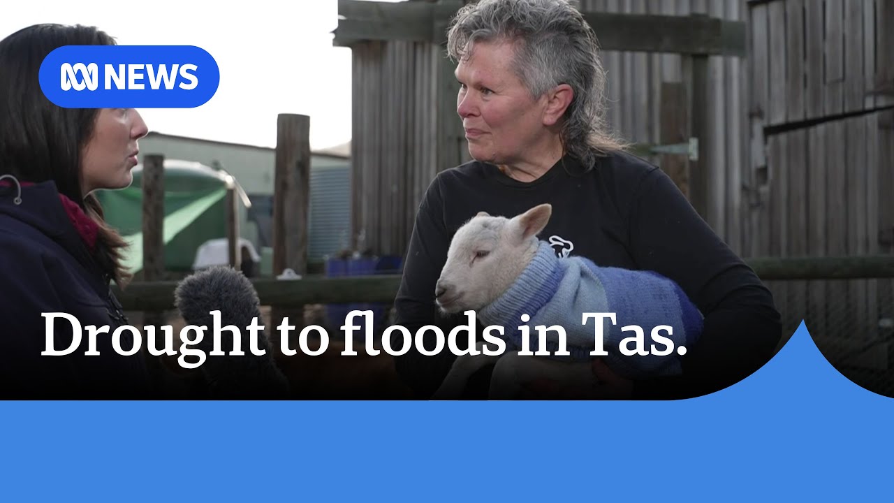 Tasmanian animal shelter goes from drought to floods in days | ABC News