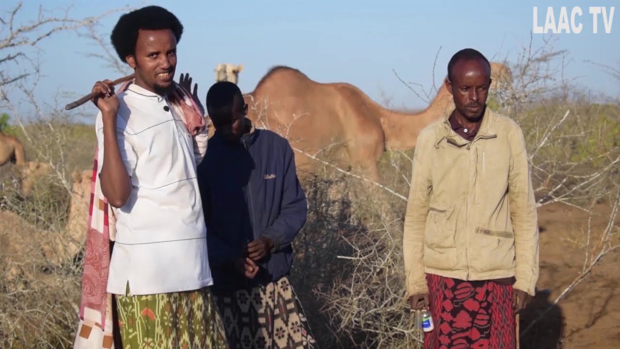 BARNAAMIJKII GEELA OO XIISO BADAN IYO GEEL DHALAY DAAWO