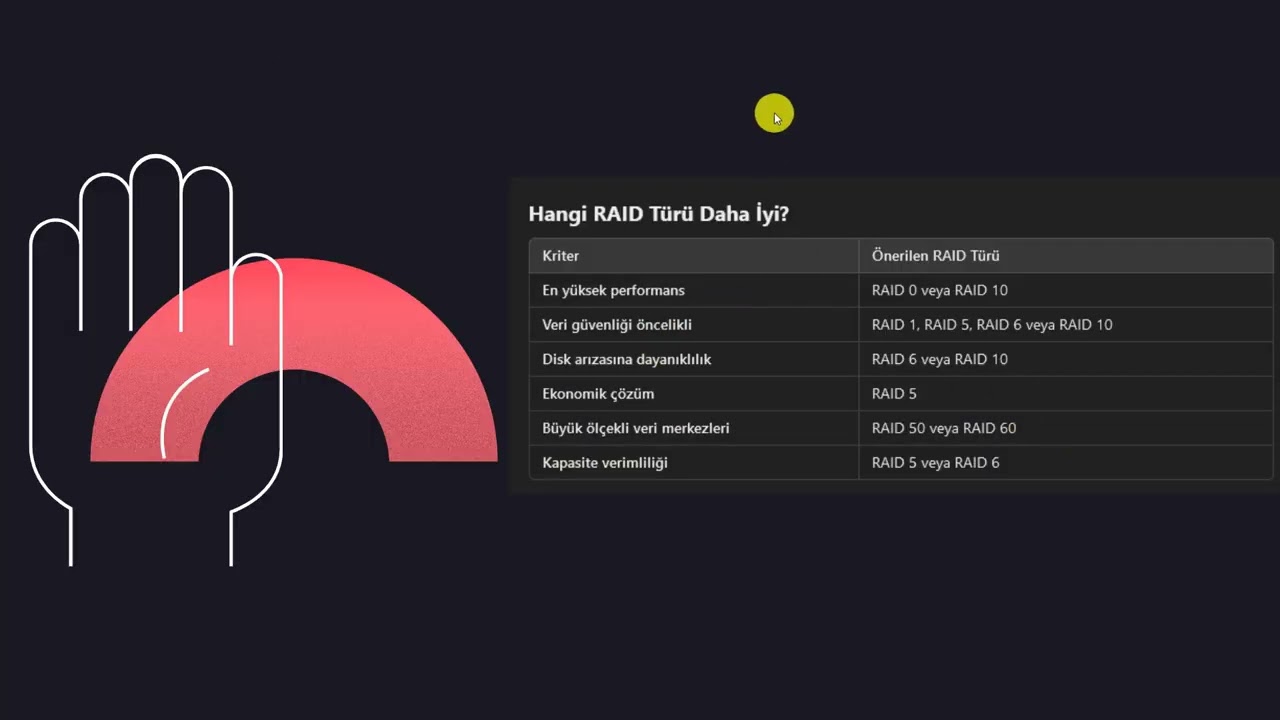 Raid nedir ve raid türleri nelerdir