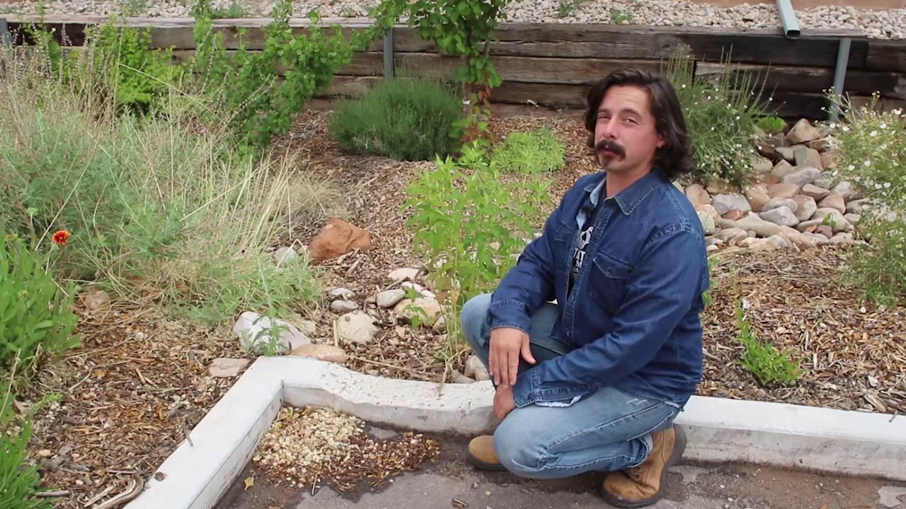 USU Moab Permaculture Garden