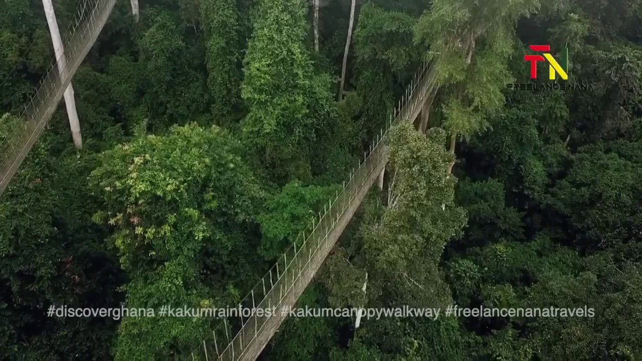 Amazing Drone Video of Kakum Canopy Walkway