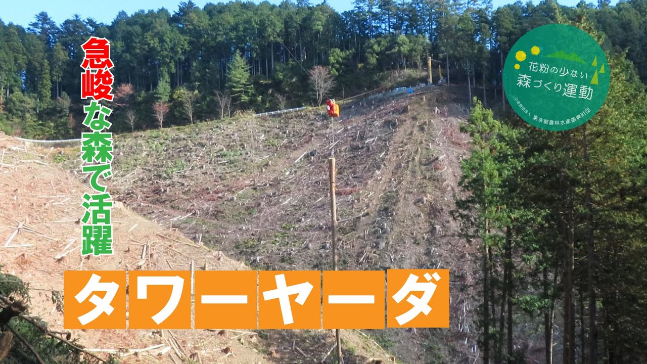 急峻な山林で活躍！タワーヤーダで木を集材