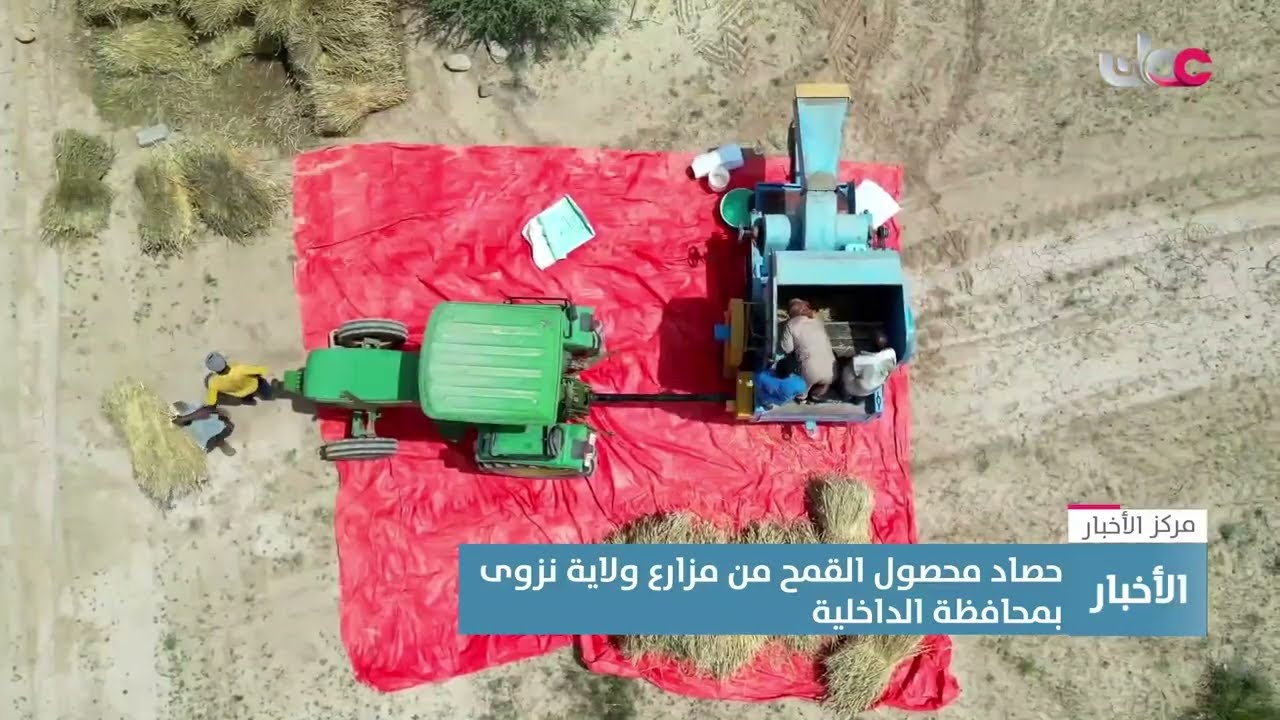 تقرير | حصاد محصول القمح من مزارع ولاية نزوى بمحافظة الداخلية