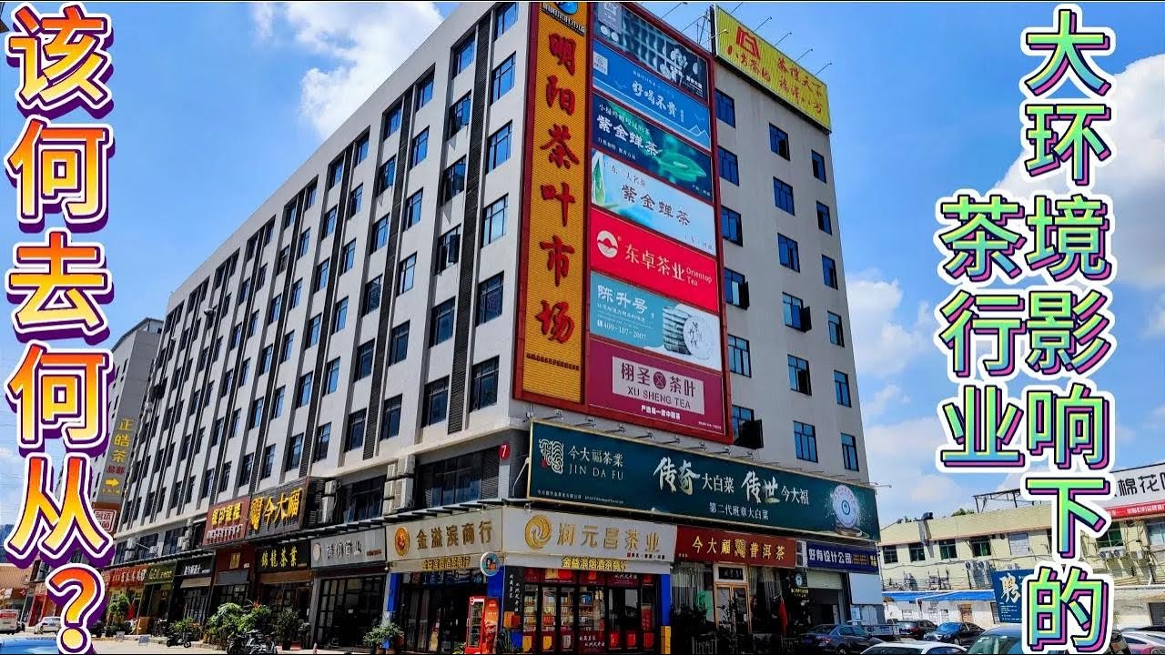 广州明阳茶叶市场，找朋友大卫喝茶，看大环境下的实体店如何转型