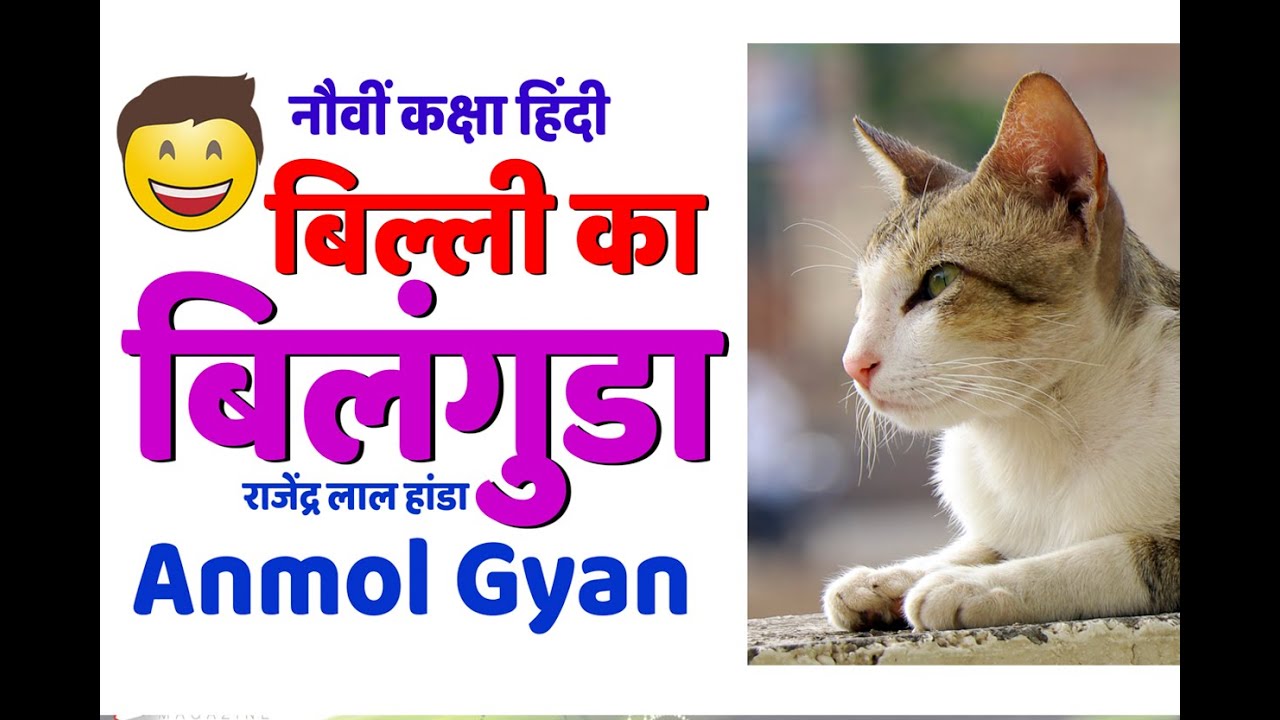 बिल्ली का बिलंगुडा नौवीं कक्षा हिंदी ( Billi ka bilanguda ) by...Sunil Darekar