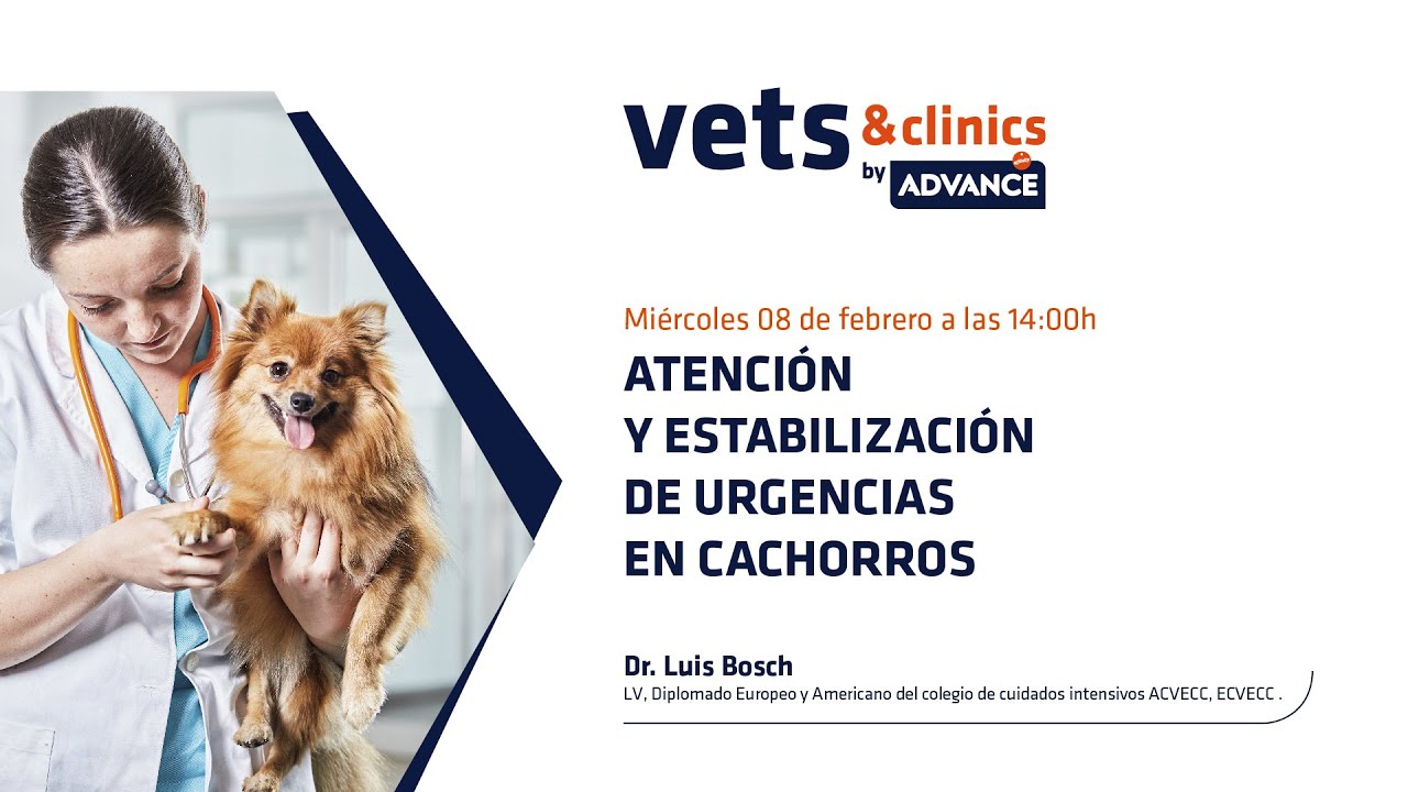 61. ES Atención y estabilización de urgencias en cachorros