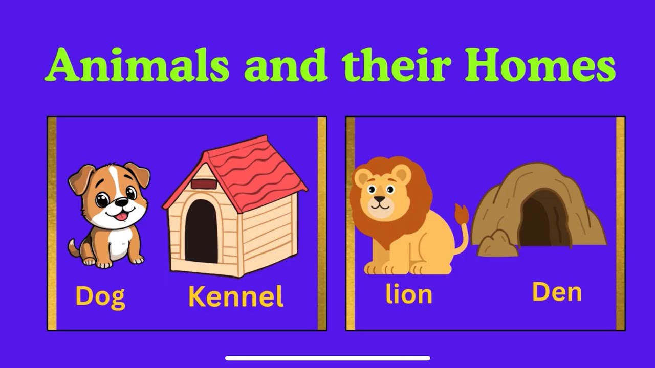 Animals and Their Homes for Kids | Learn Animal Homes | Preschool Learning #KidsLearning
