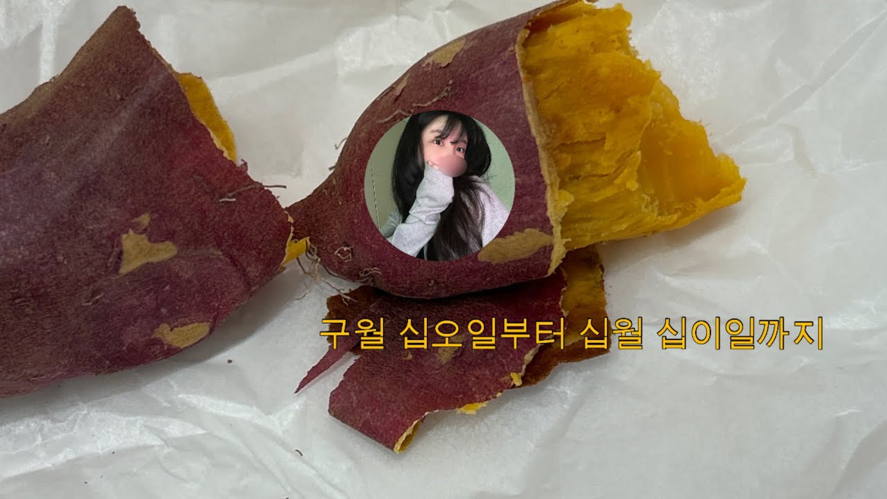 근데 25년도...(먹고 뽑고 또 먹고...)