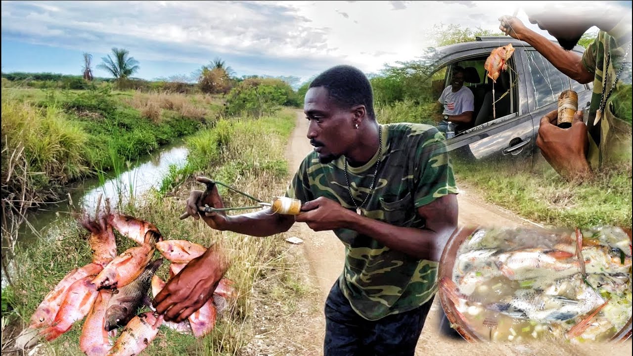 Slingshot Spearfishing in the Grassy Water Stream