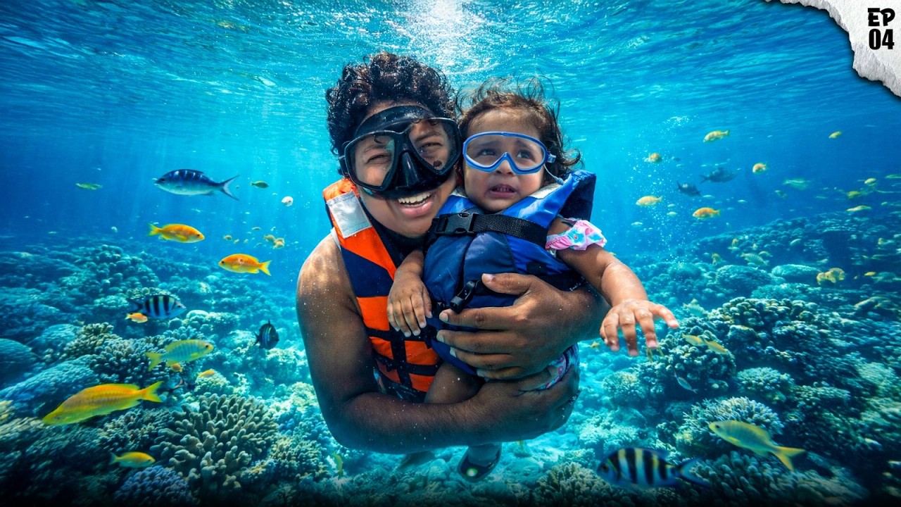 Snorkeling in Maldives  🤩 - Irfan's View