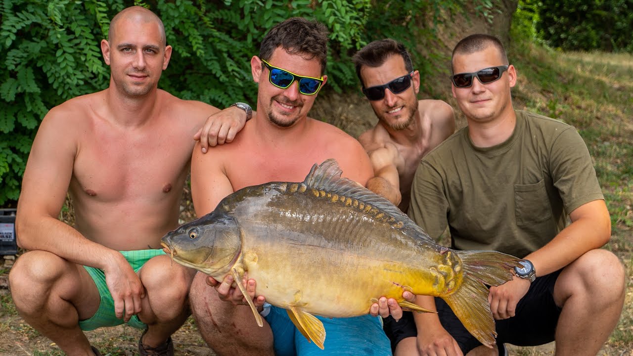 Šaran od 27KG na Čepel-u