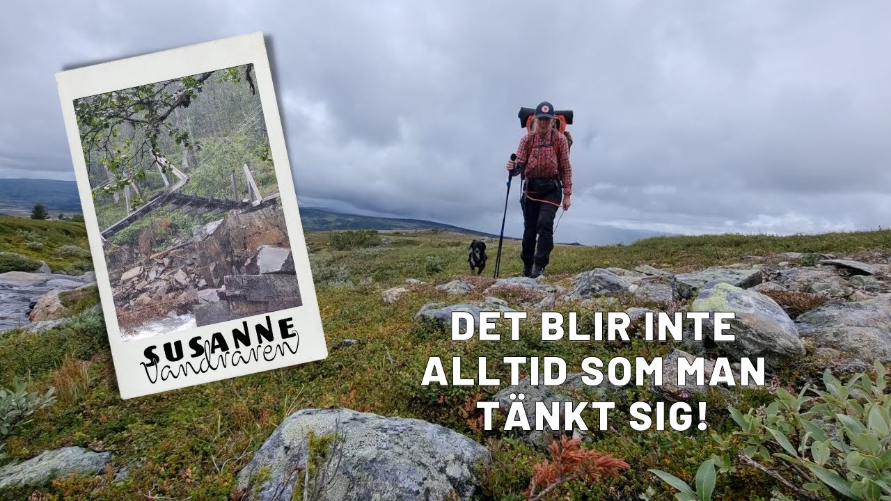 Det blir inte alltid som man tänkt sig - livet i en camper van