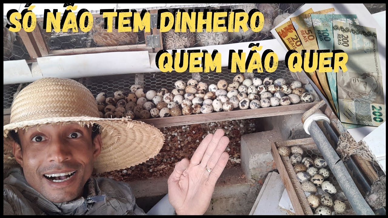 Aquela Ração Postura Top, NOVA fabricação CASEIRA 