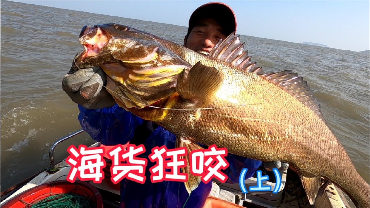阿杰今天光虾就买500块，2000多枚钩全部扔下海，值钱海货拉到爆