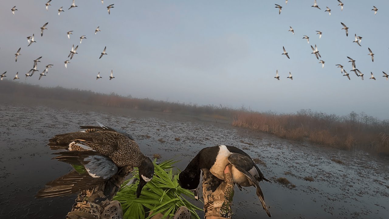 Hardest duck hunt to reach...... Fastest Limit Ever! | Is Florida Duck Hunting Worth It?