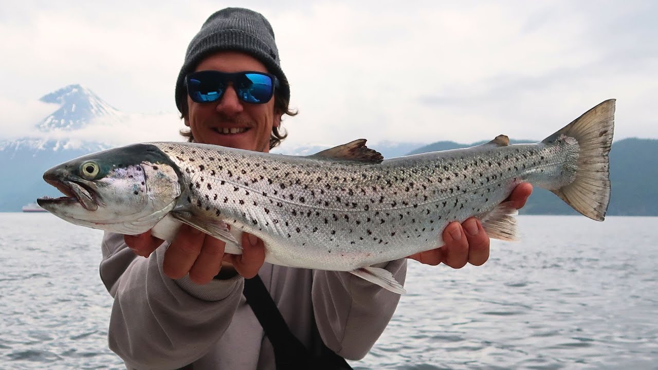 In 5 Minuten zum Lachs oder Meerforelle! So mach ich das!!! (Norwegen Part 5)