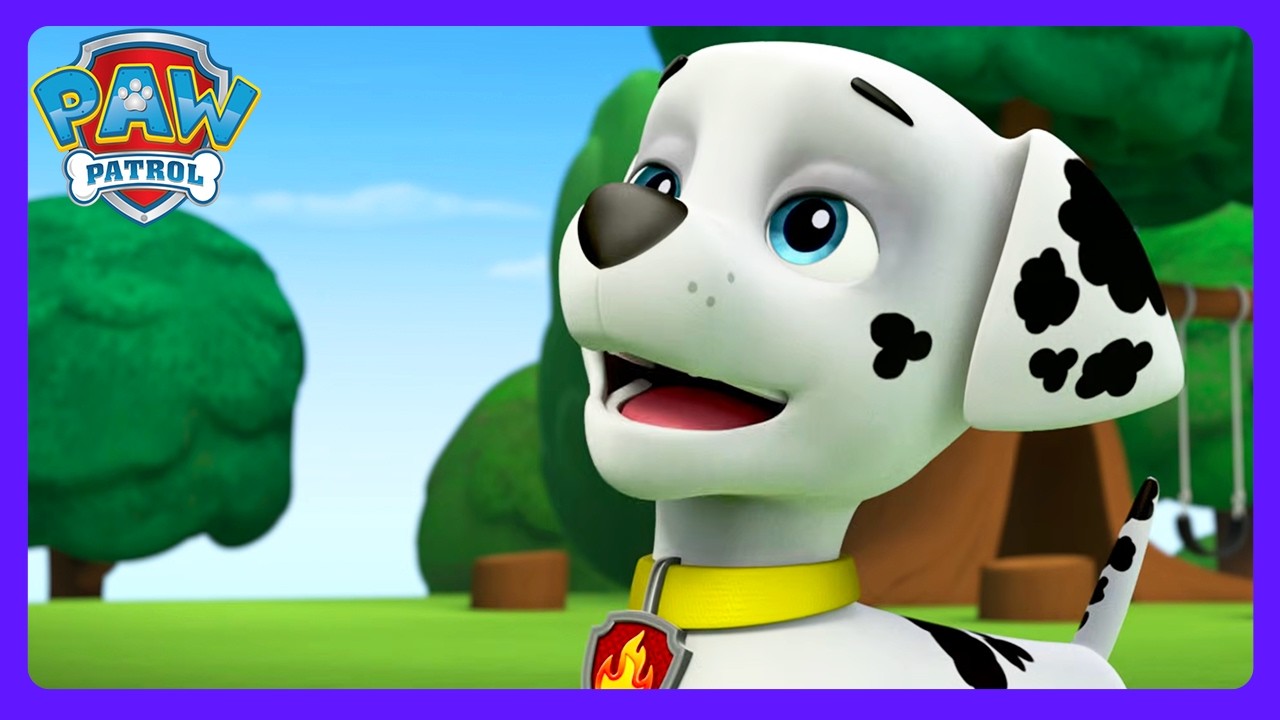 PAW Patrol - Assemble! | Season 1 Full Episodes | WildBrain Zoo | Kids Cartoons