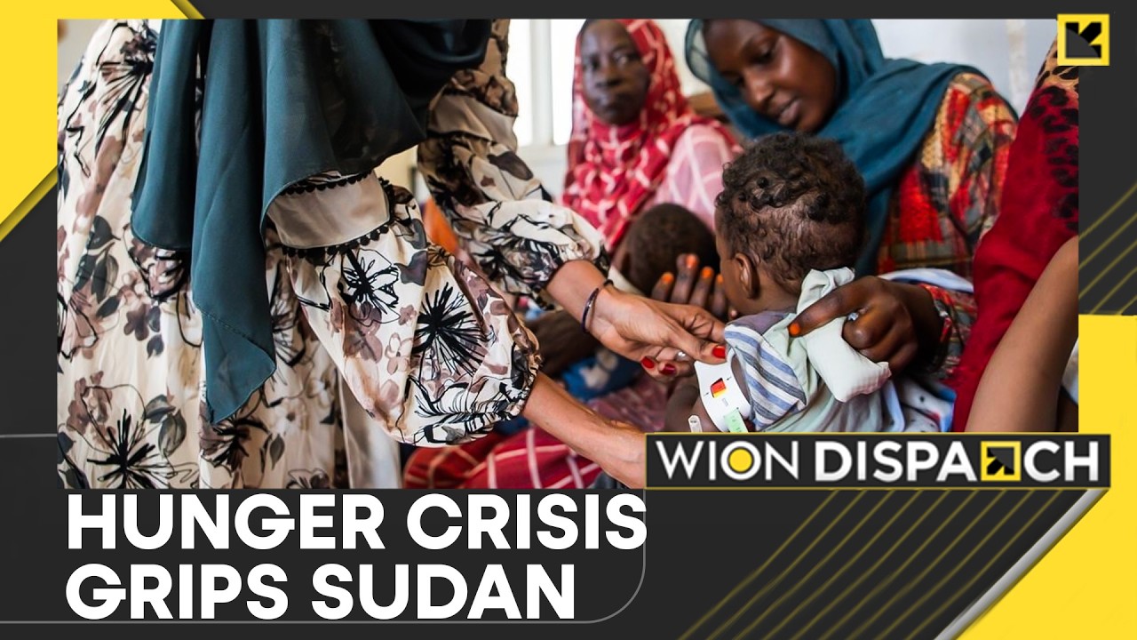 Sudan Hunger Crisis: Two-Thirds in South Sudan Face Famine-Like Conditions | WION Dispatch