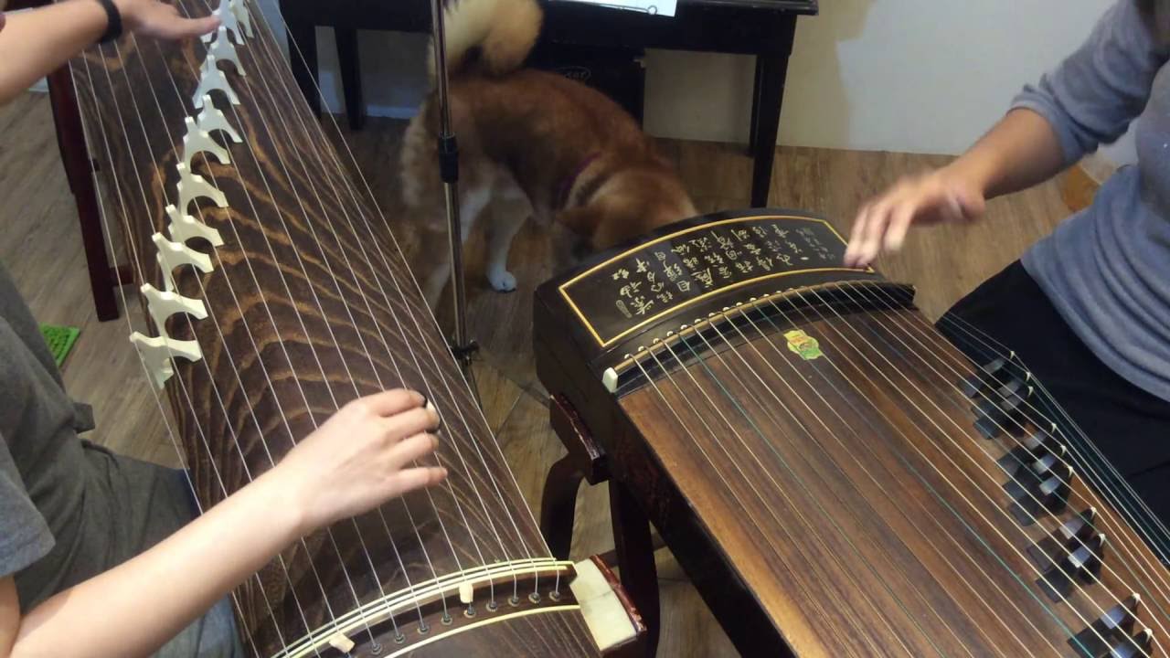 【日本箏X古箏】⟪红颜旧⟫ 琅琊榜主題曲🔥日本箏短期集訓班🔥招生中!
