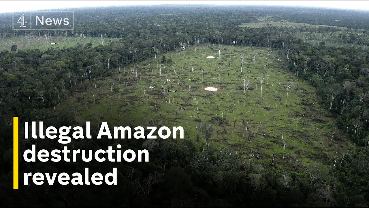 Colombia&rsquo;s Amazon: Leaders ignoring devastating illegal deforestation