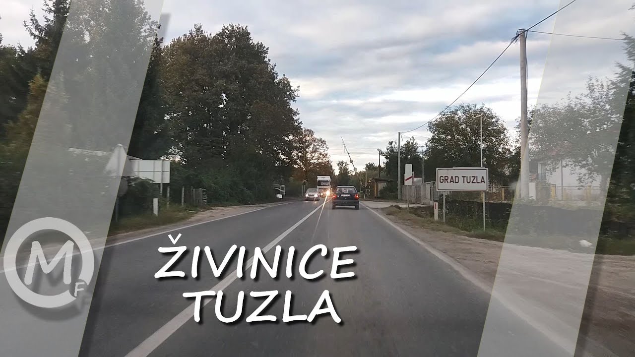 Živinice - Tuzla || Živinice