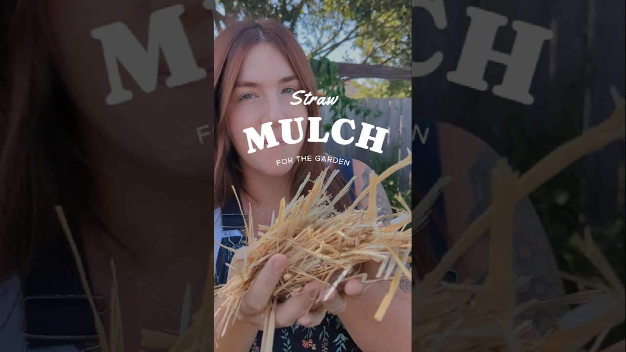 My favorite garden mulch and where to get it! #mulch #gardentips #texasgarden #gardening