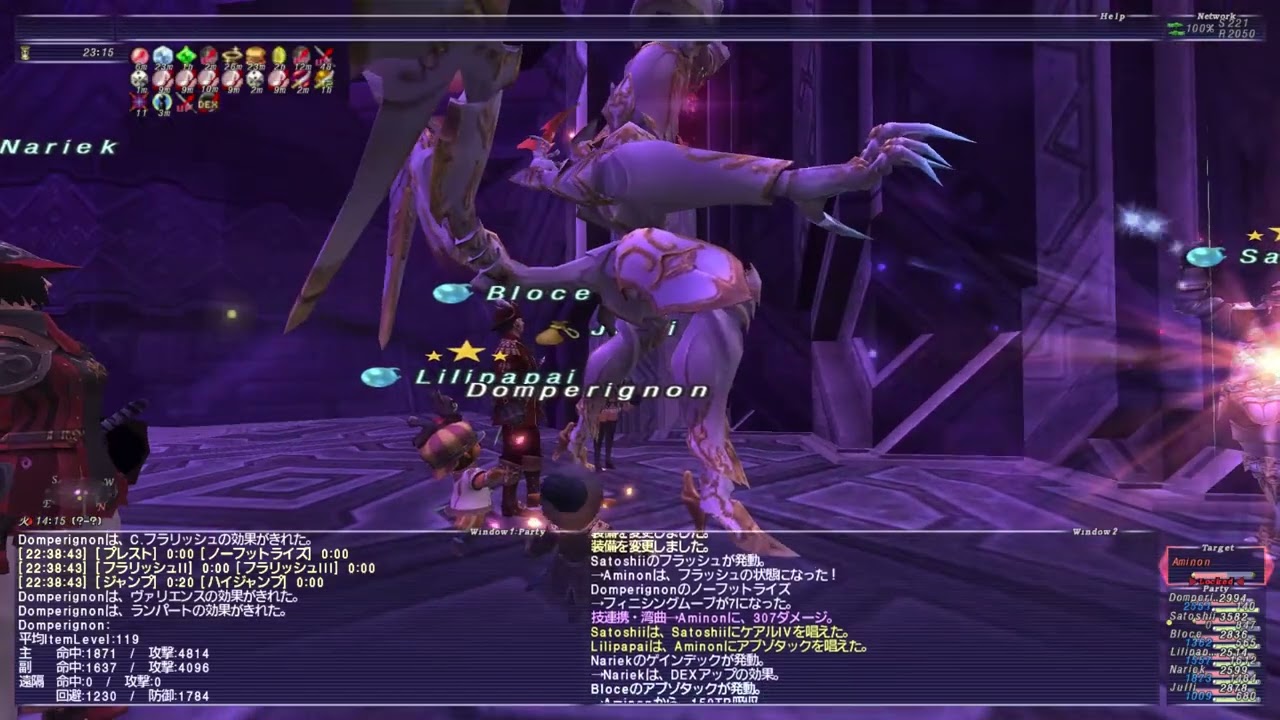 FF11　真Aminon討伐パート３（2024/5/22）
