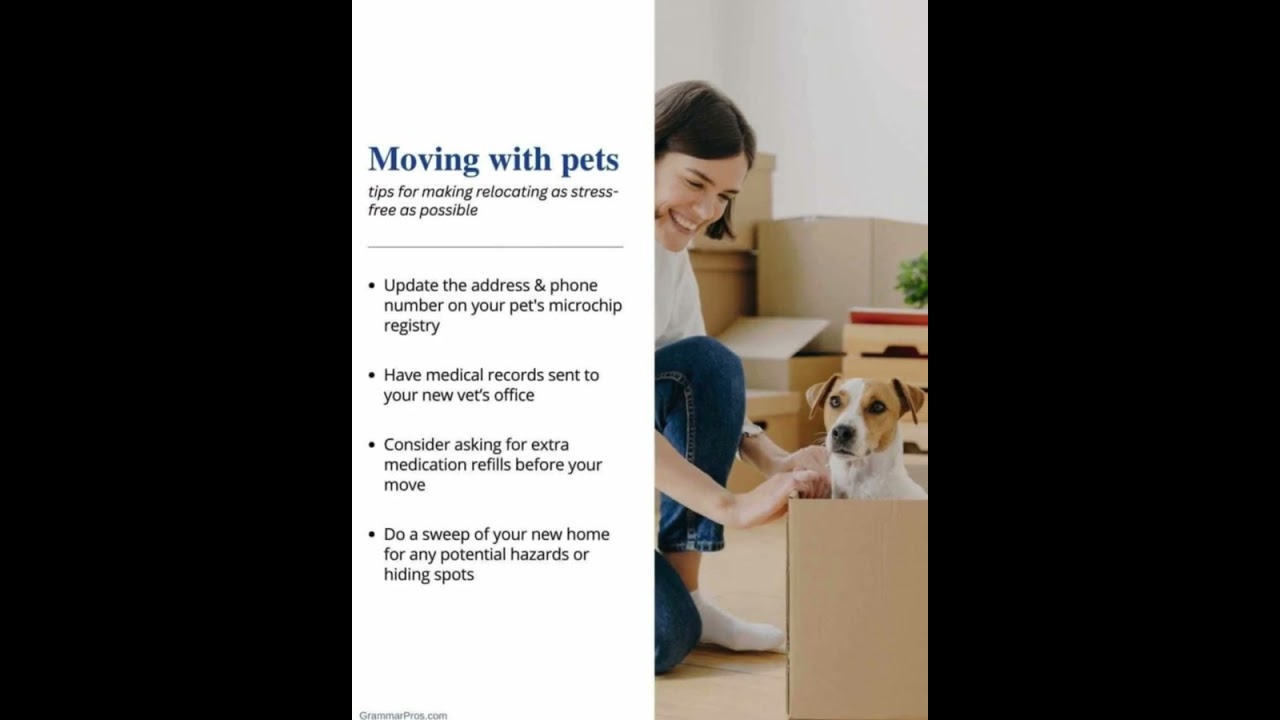 Pet Tips for a Smooth Move