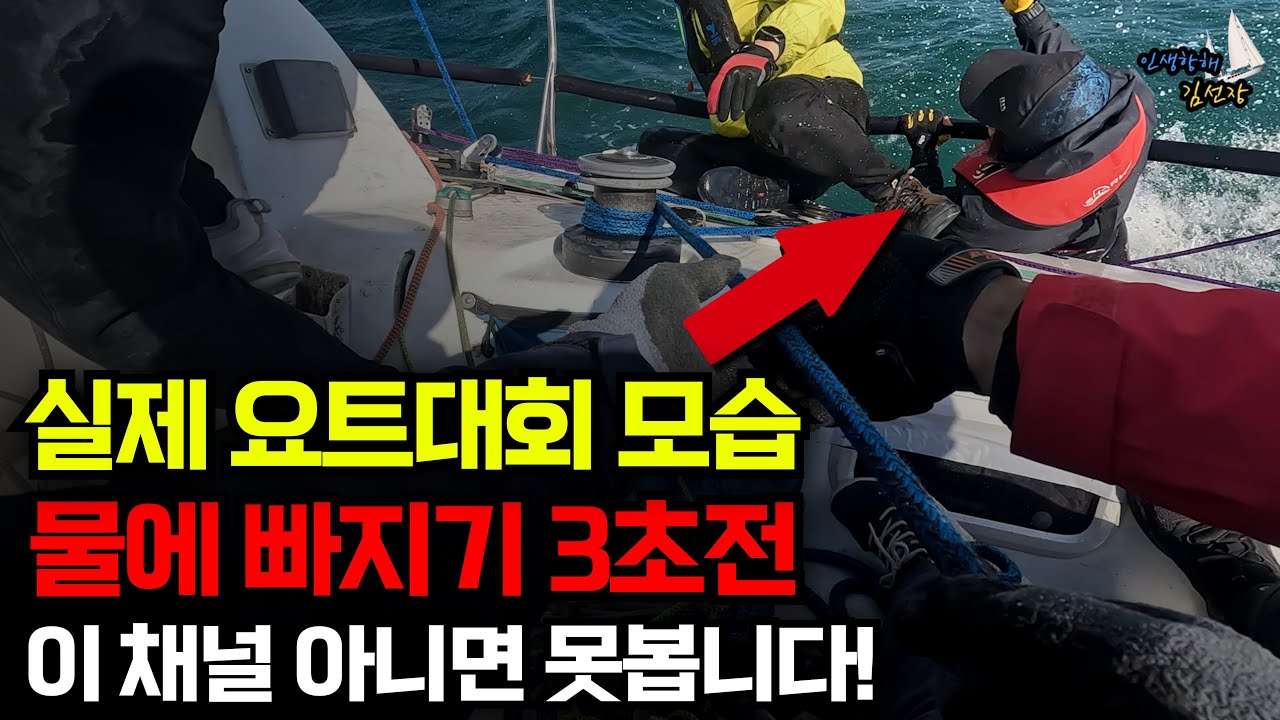 살면서 보기 힘든 요트대회 실제 모습 충격적이네요.. 거북선배 요트대회 마지막 이야기