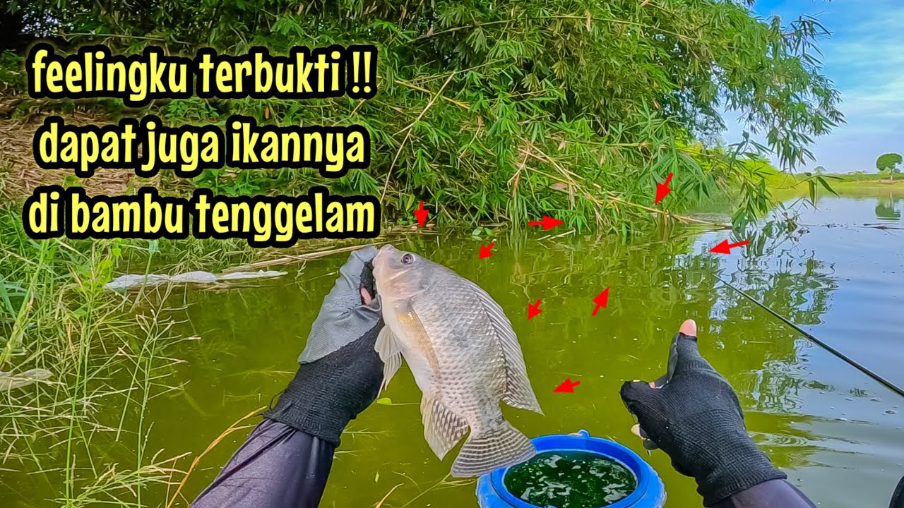 HARI KEDUA AKHIRNYA NGOMSET JUGA DI SPOT INI || mancing ikan nila di waduk sangiran ngawi