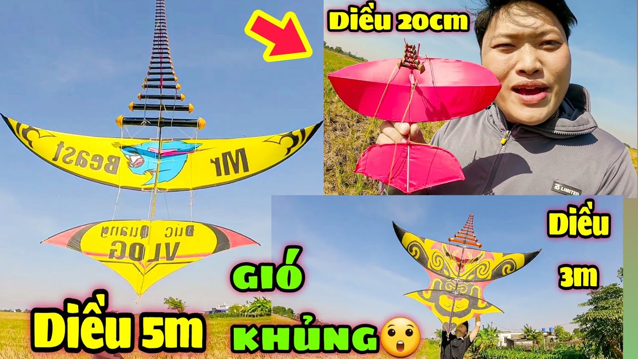 Chiến Gió 35km Cùng Diều 20cm Và Diều 5m Cõng Bò D120 Siêu Khủng Cùng Anh Em
