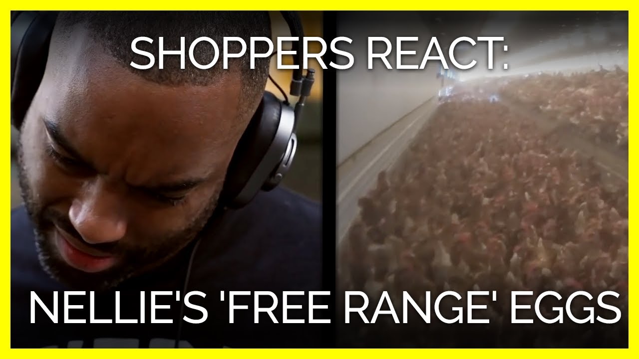 Shoppers React to Nellie's 
