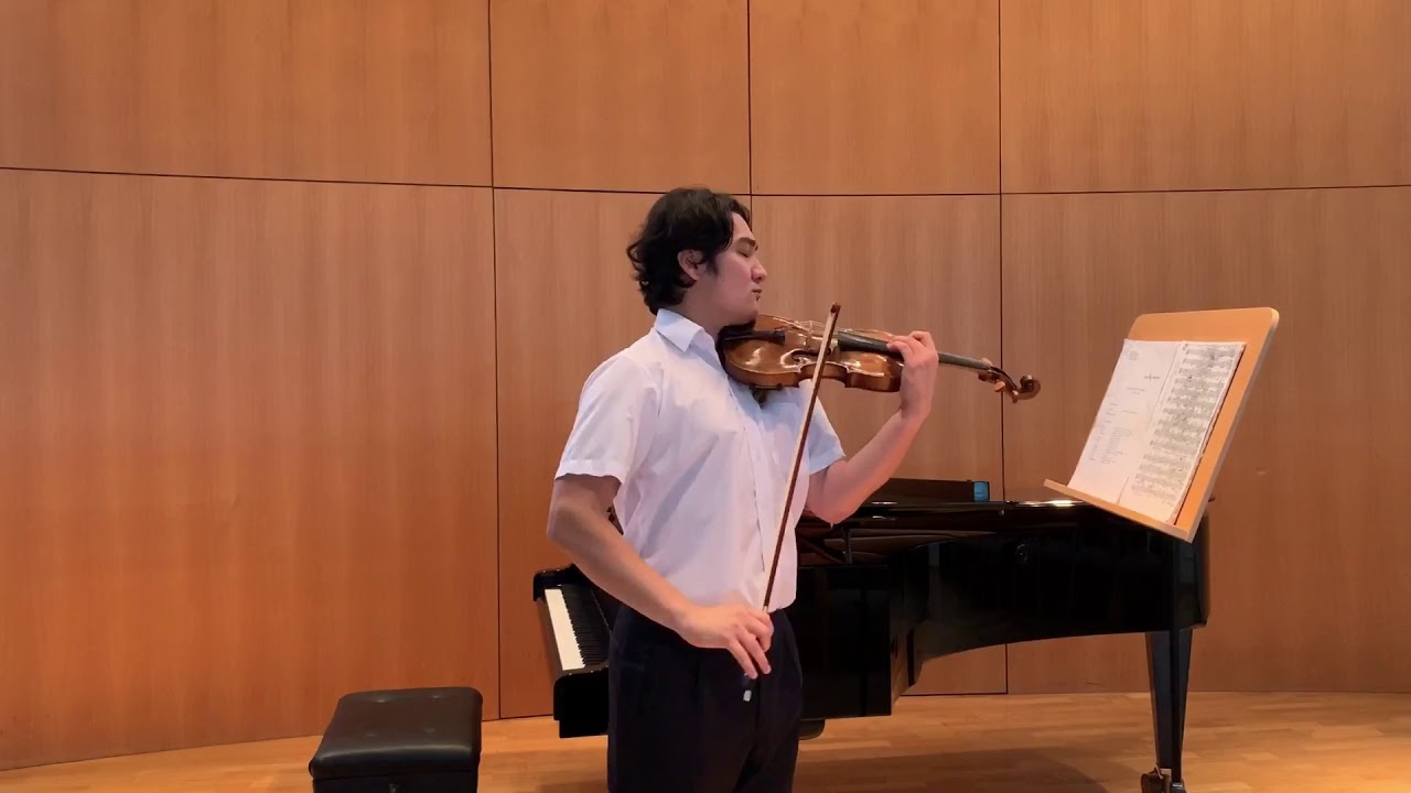 Mozart/Mahler/Strauss Orchesterstellen. Philipp Krylov