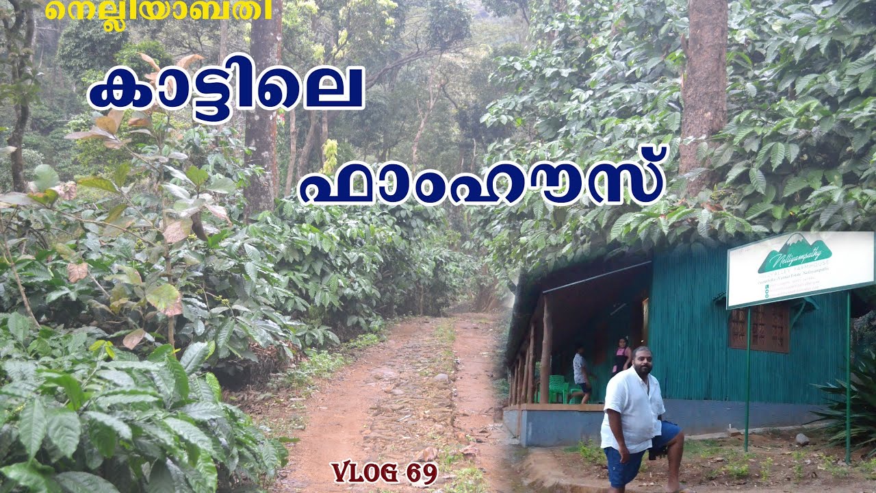 നെല്ലിയാമ്പതി കാട്ടിൽ കുടുംബത്തോടൊപ്പം താമസിക്കാനൊരിടംIIHill Valley Farm HouseII MALAYALAM VLOG 069