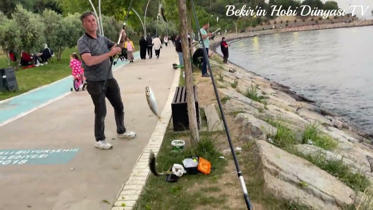 1 Saatte 2 Kilo İstavrit Yakaladım