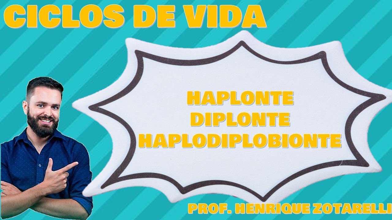 Tipos de Ciclos de Vida