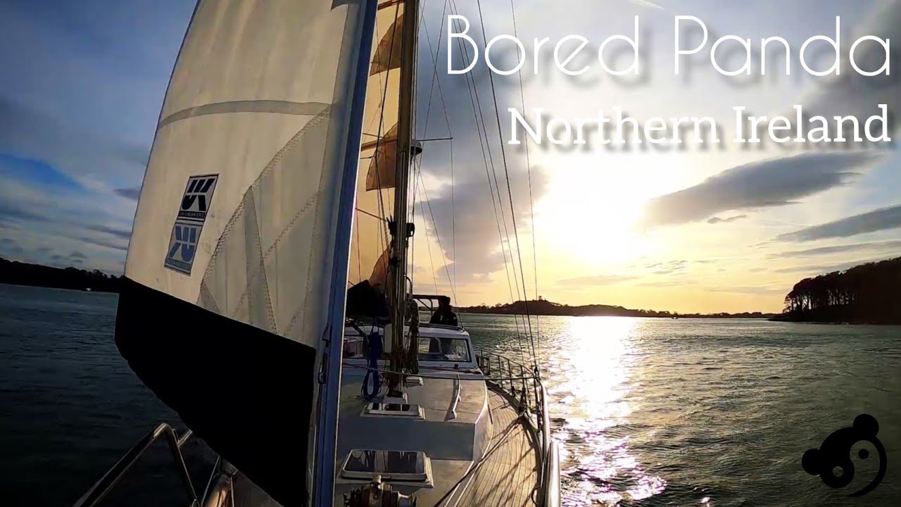 A Downwind Sail in Strangford Lough, Northern Ireland |ASMR| [Bored Panda]