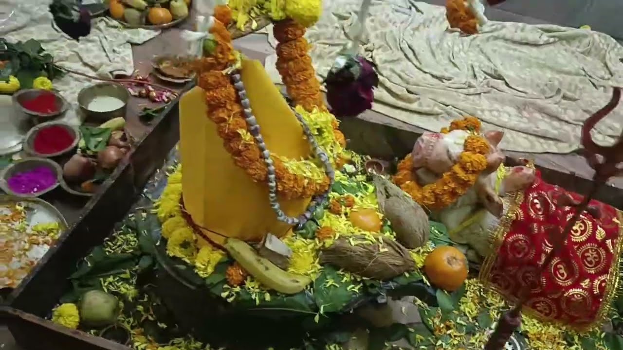 Shiv ji ka barati me itna mja ....😊😊