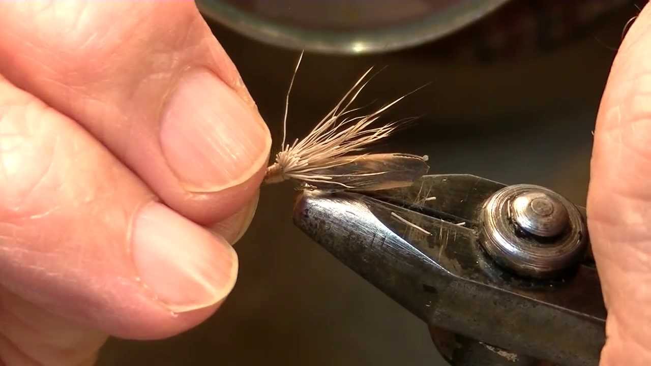 Sedge con corpo separato come si esegue