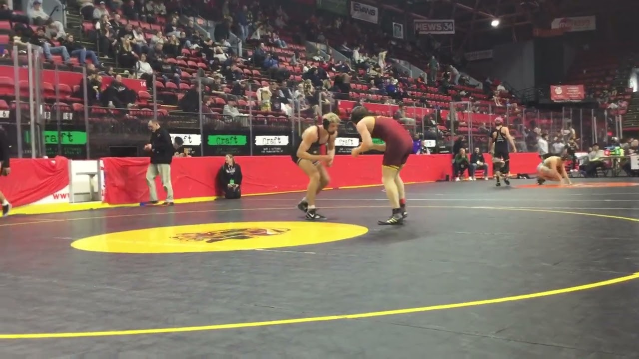 Bodhi vs ELM