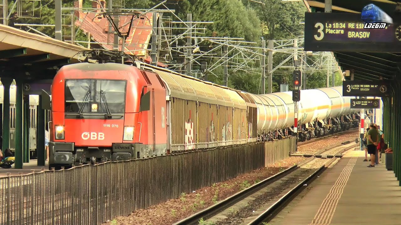 Trenuri de Marfă în Gara Sinaia 🚊 ⛰🚉 Cargo Trains in Sinaia Railway Station -  26 August 2024