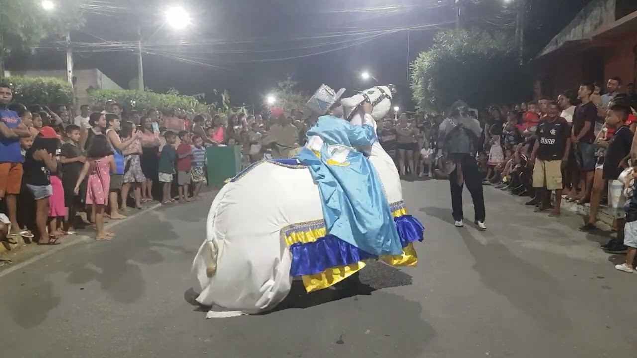 PROJETO RAIZ SESC CULTURAL BOI PAZ NO MUNDO parte 2