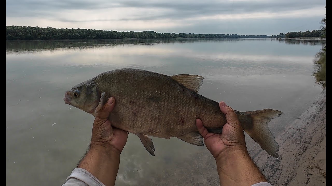 Kapit&aacute;lis d&eacute;v&eacute;r a Dun&aacute;b&oacute;l.  A Benz&aacute;r Method Lake kih&iacute;v&oacute;ra tal&aacute;lt. Dob&oacute;előke k&ouml;t&eacute;s, k&eacute;k gumi labda :)
