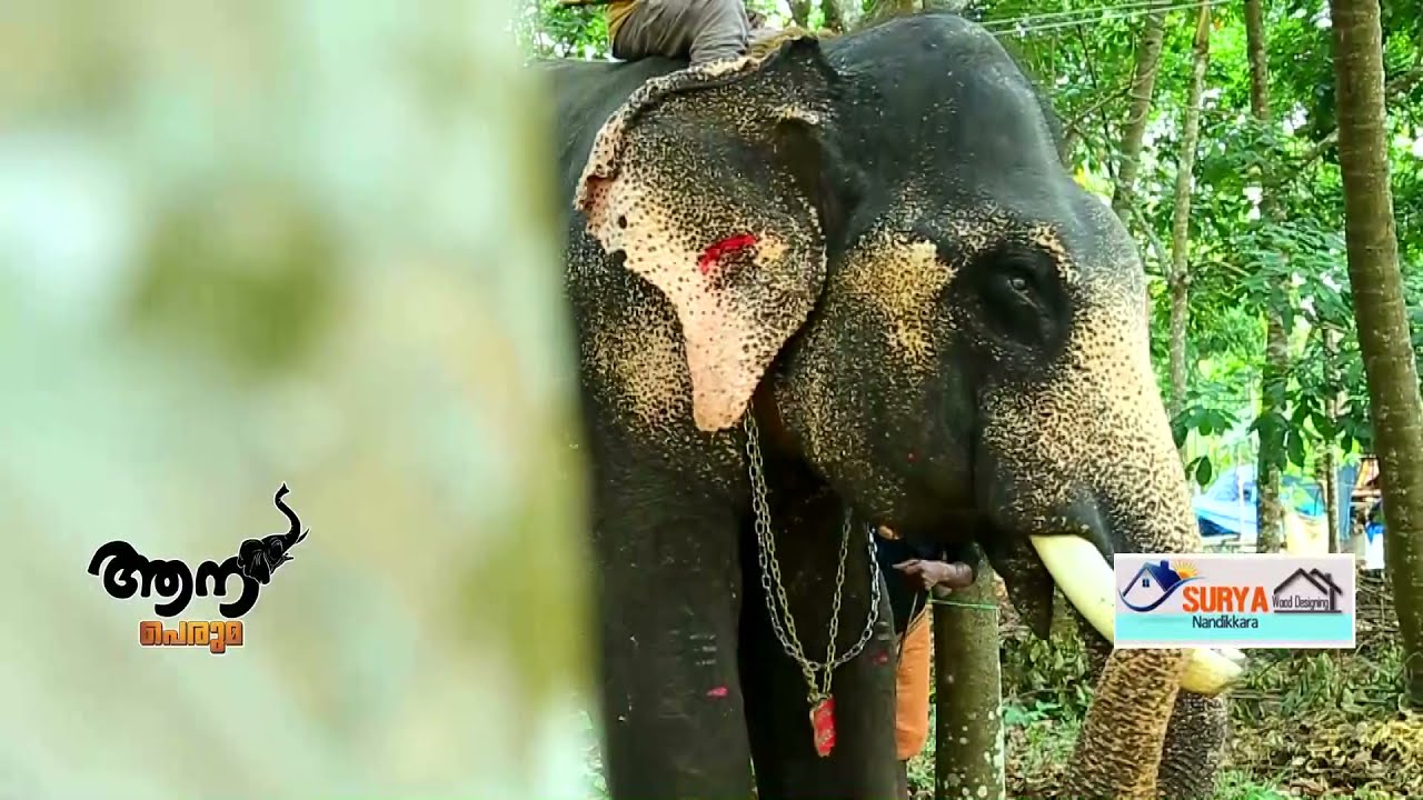 Amballur  Sivan  (  Aana Peruma  Episode - 13 )
