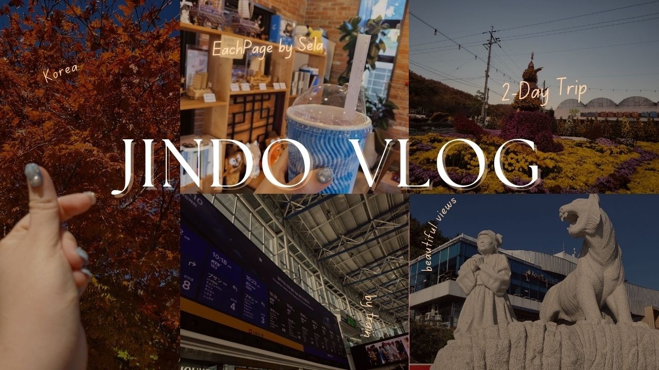 2-Day Trip to Jindo | Sea, Flowers & Island Life