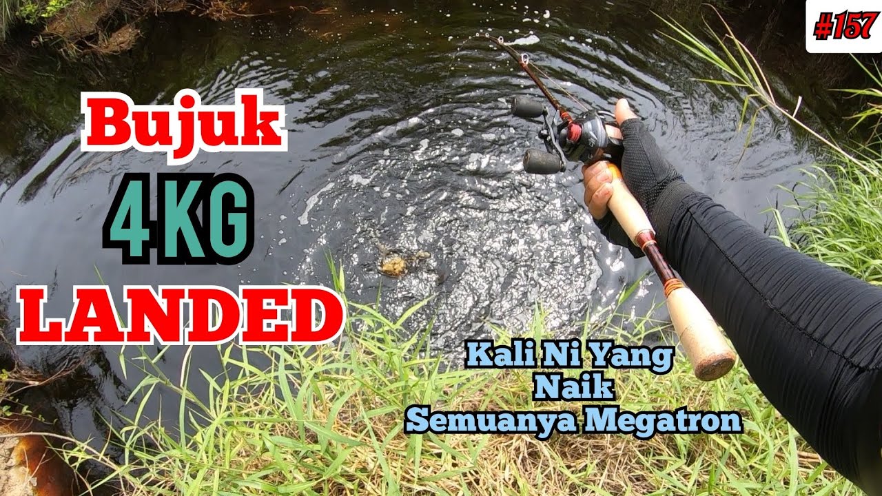 Bujuk Mega Tumpas Lagi || Saiz Idaman Landed Ditangan Aku