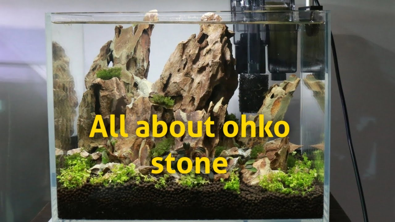 All About Ohko Stone