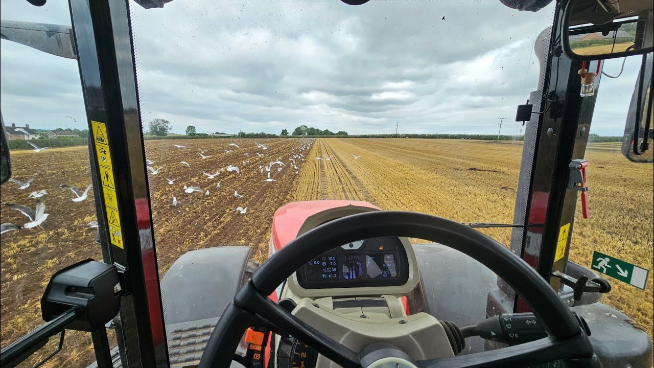 2025 cultivation starts