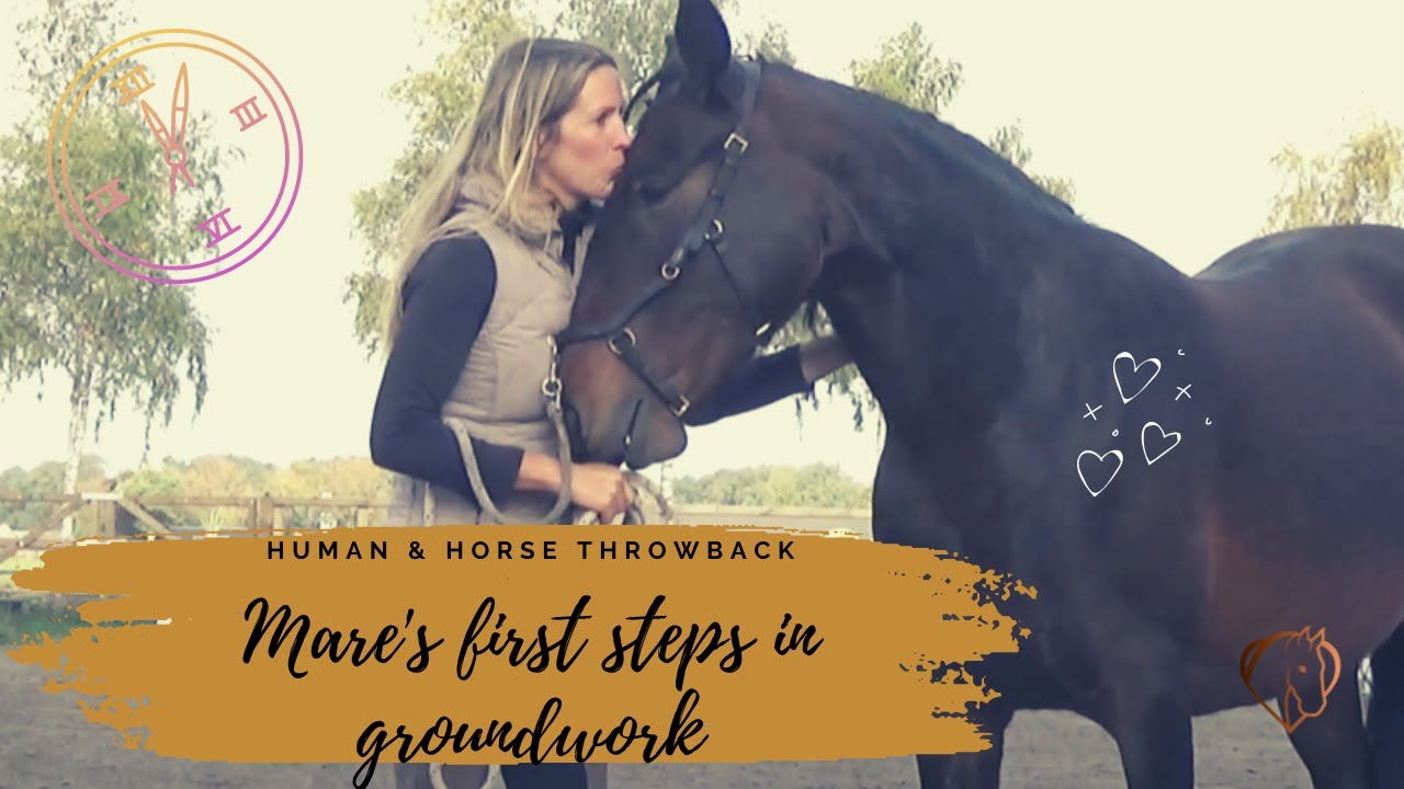LADY KIKO'S FIRST STEPS IN GROUNDWORK 🤎✨